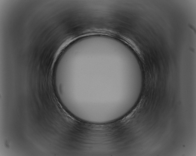 X0000094951172200711291058