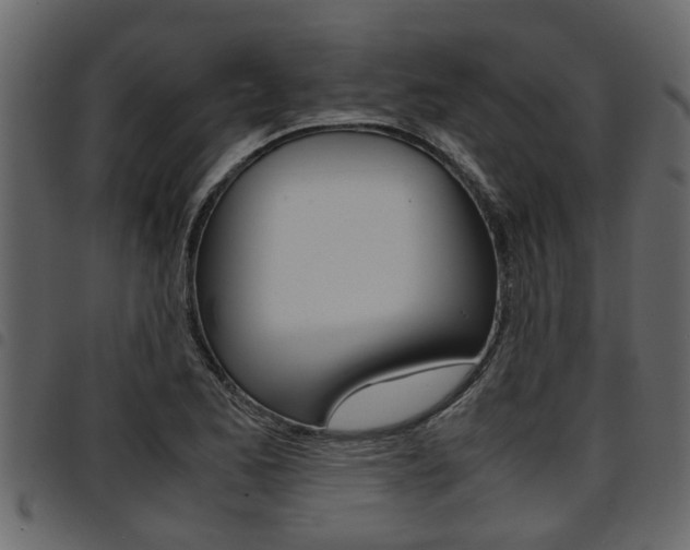 X0000094951173200711291058