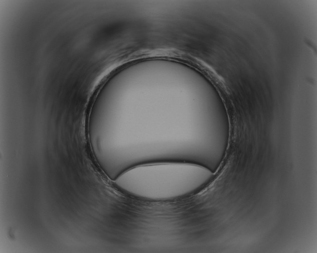 X0000094951174200711291058