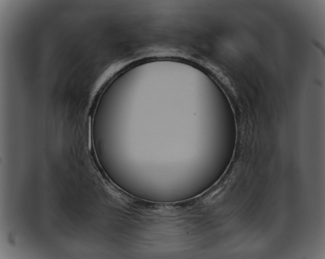 X0000094951175200711291058