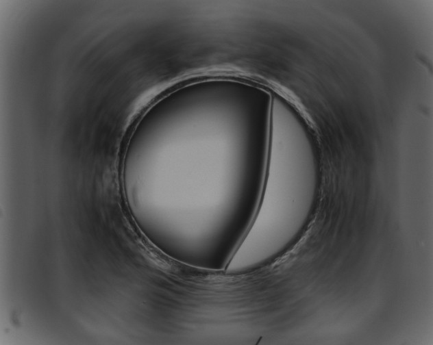 X0000094951176200711291058