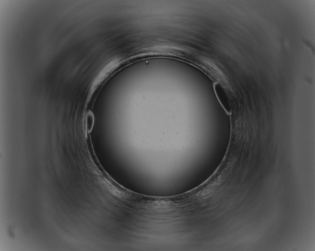 X0000094951180200711291058