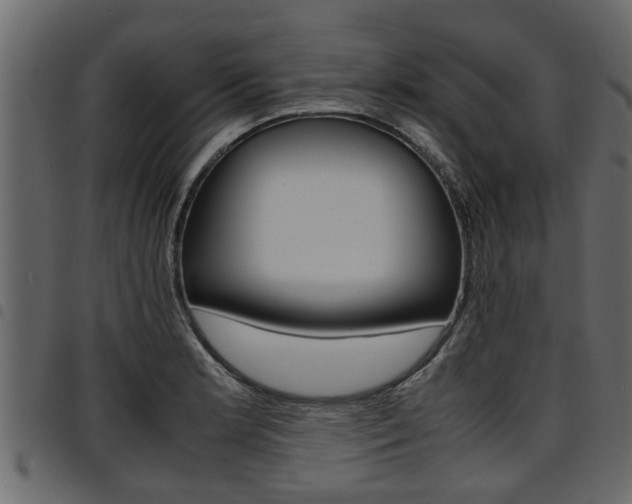 X0000094951181200711291058
