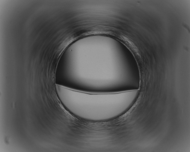 X0000094951185200711291058