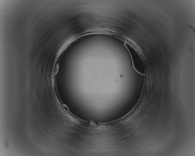 X0000094951188200711291058