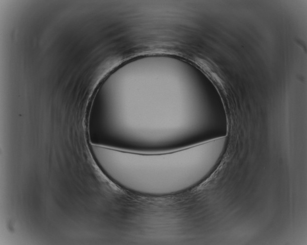 X0000094951189200711291058