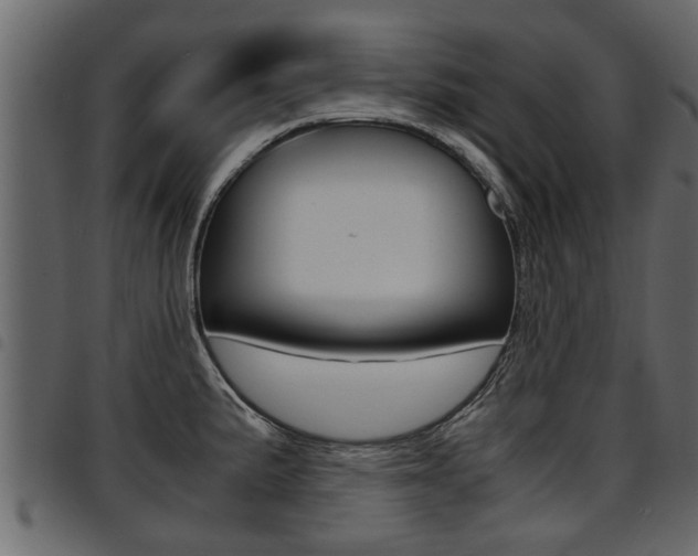 X0000094951191200711291058