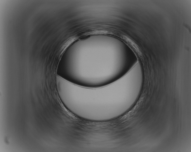 X0000094951193200711291058