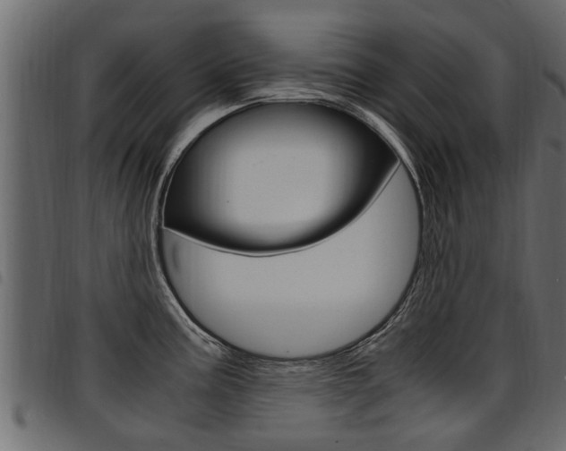 X0000094951195200711291058