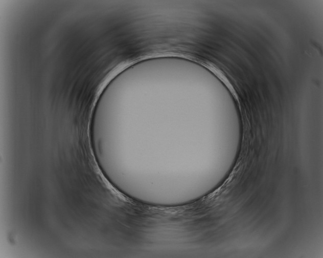 X0000094951197200711291058