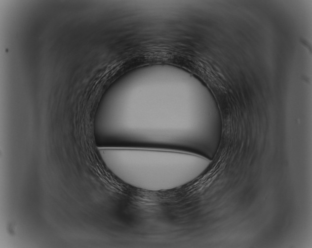X0000094951201200711291057