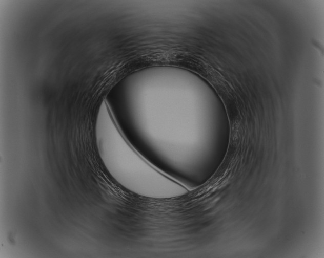 X0000094951202200711291057