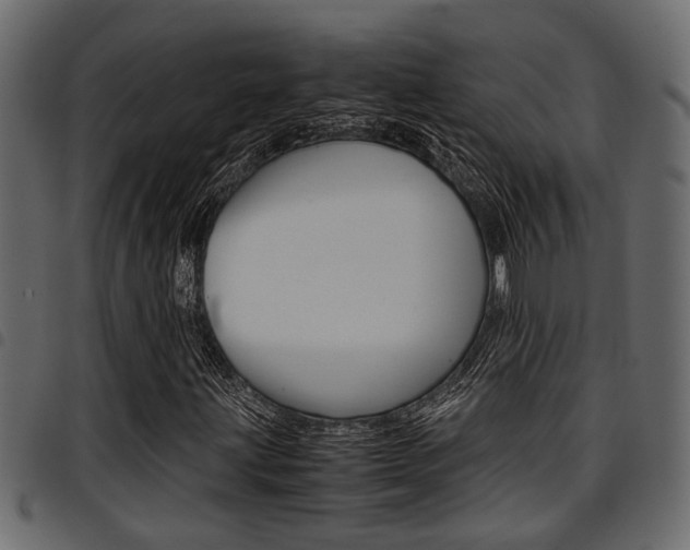X0000094951203200711291057