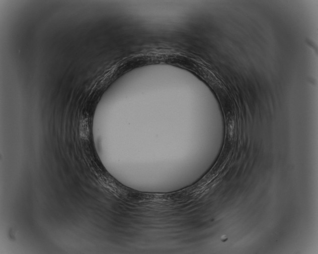 X0000094951204200711291057