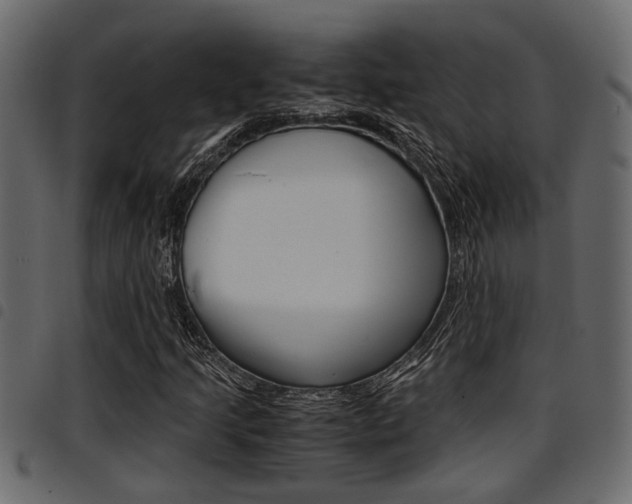 X0000094951205200711291057