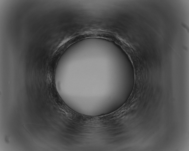 X0000094951206200711291057