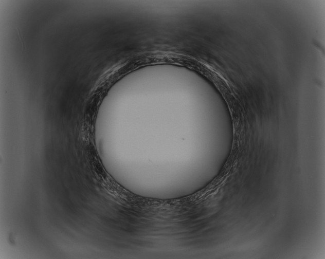 X0000094951207200711291057