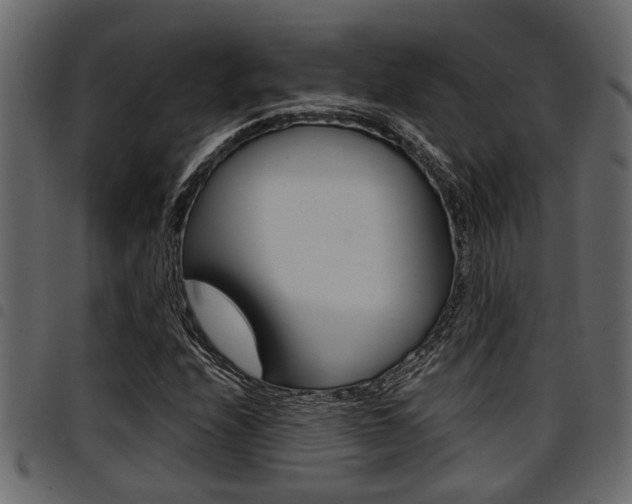 X0000094951208200711291057