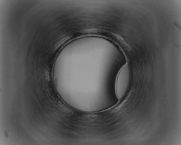 X0000094951209200711291057