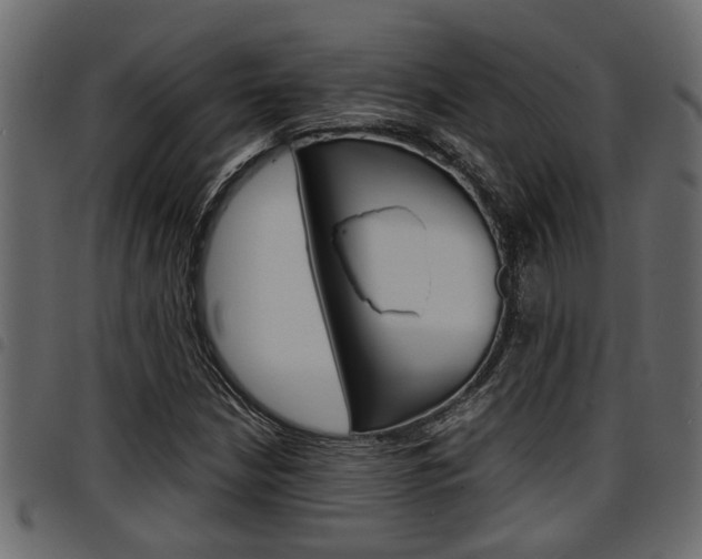 X0000094951210200711291057