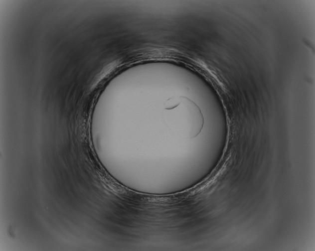 X0000094951211200711291057