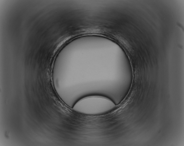 X0000094951212200711291057