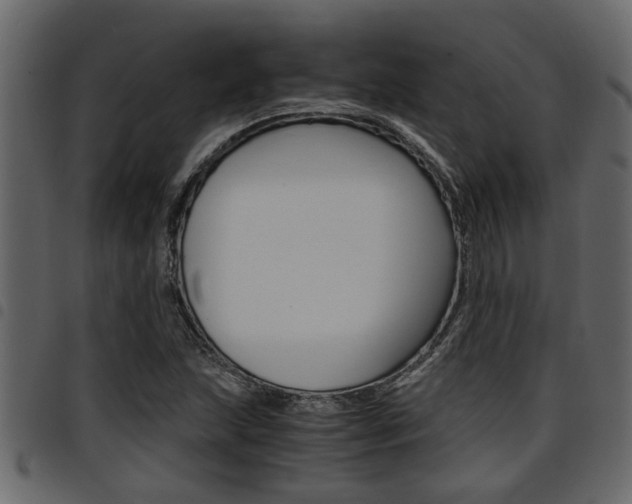 X0000094951215200711291057