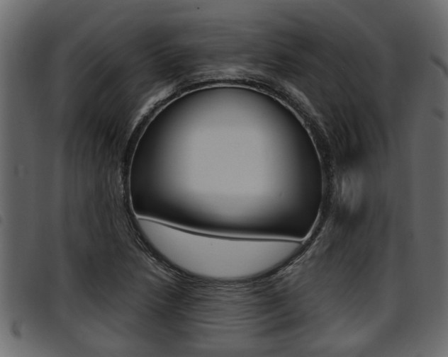 X0000094951218200711291057