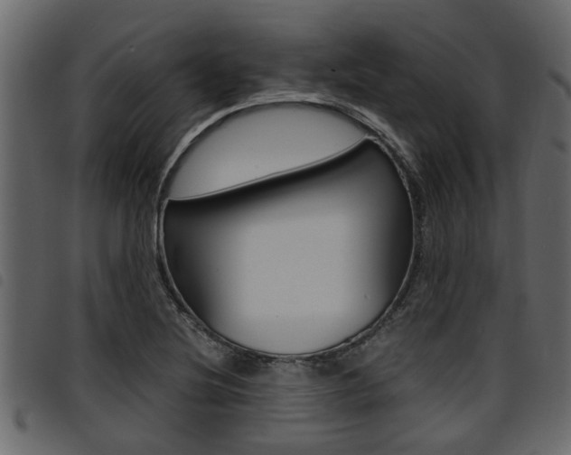 X0000094951220200711291057