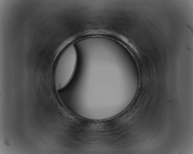 X0000094951221200711291057