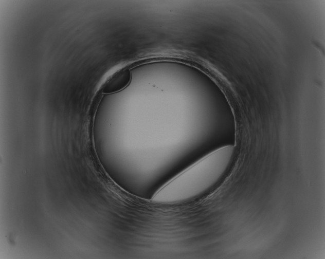 X0000094951222200711291057