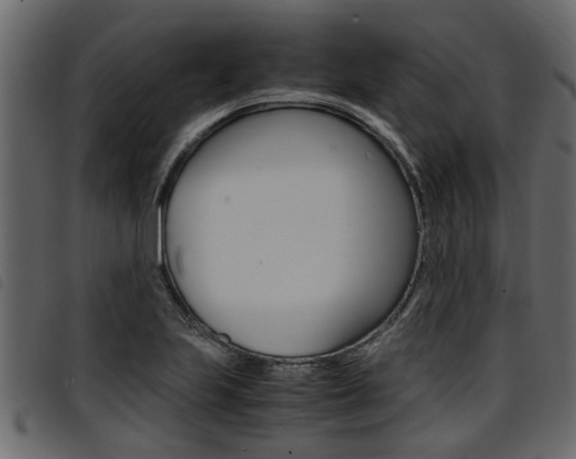 X0000094951223200711291057