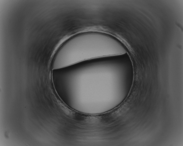 X0000094951224200711291057