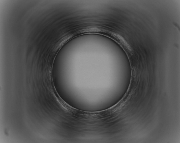 X0000094951225200711291057
