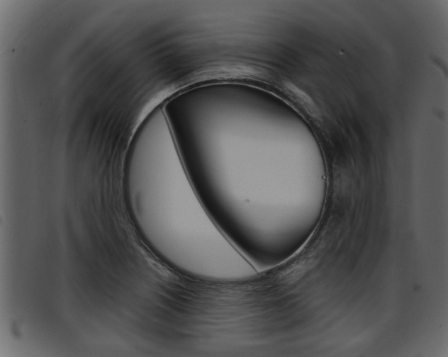 X0000094951226200711291057