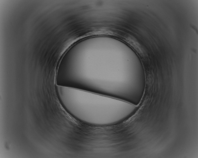 X0000094951228200711291058