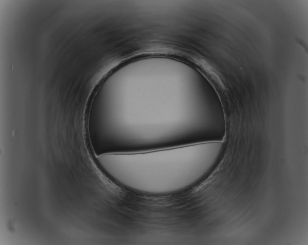 X0000094951229200711291058