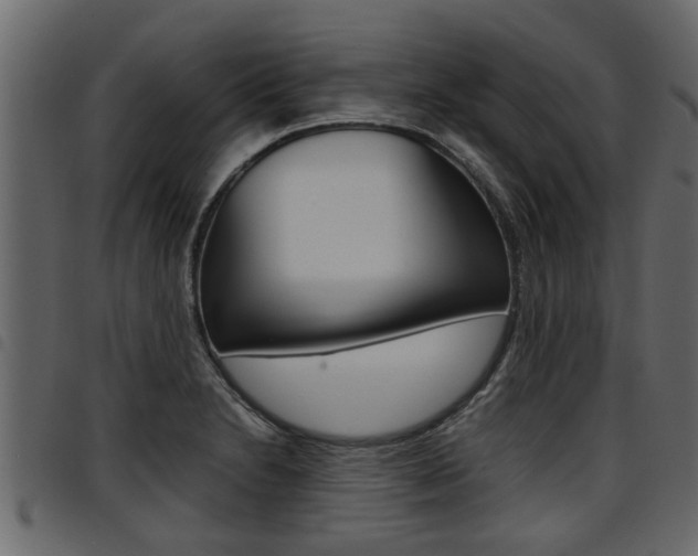 X0000094951230200711291058