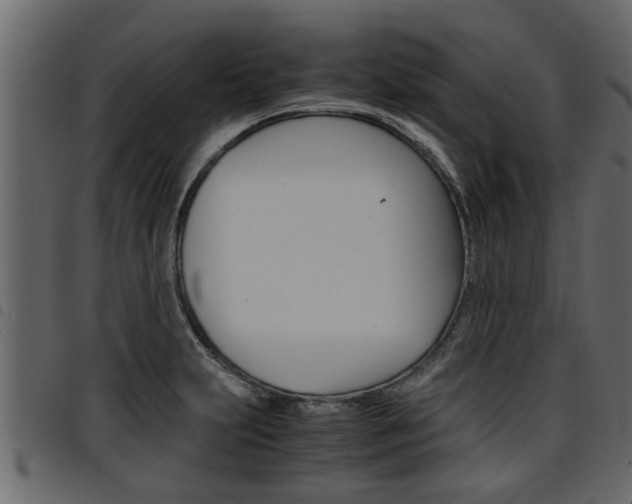 X0000094951231200711291058