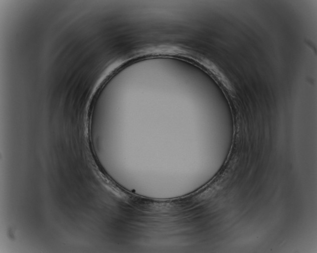 X0000094951232200711291058