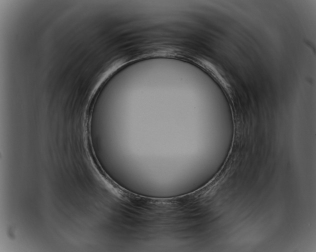 X0000094951235200711291058