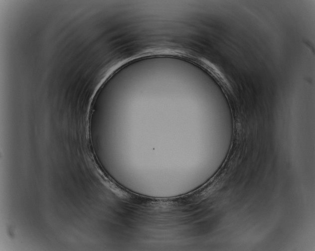 X0000094951236200711291058