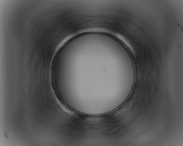 X0000094951237200711291058