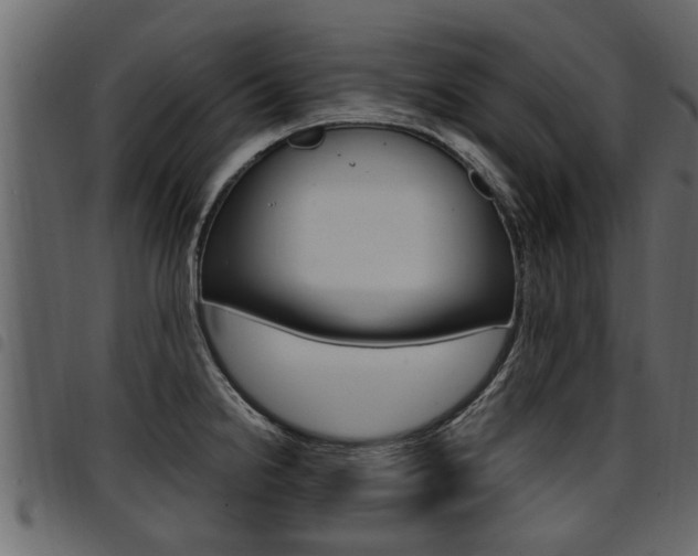 X0000094951238200711291058