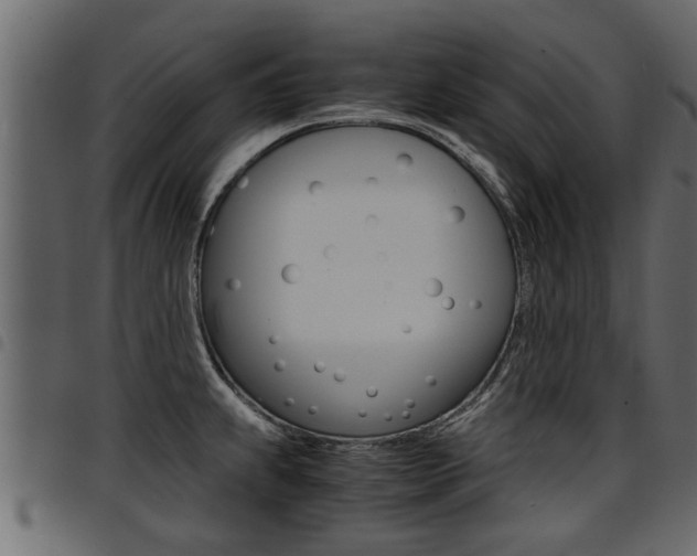 X0000094951239200711291058