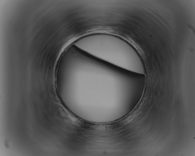 X0000094951240200711291058
