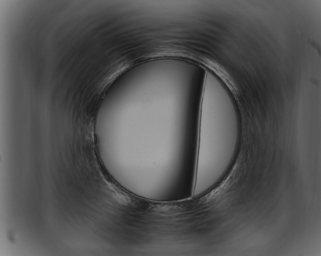 X0000094951241200711291058