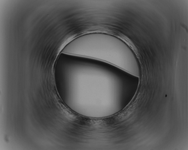 X0000094951242200711291058