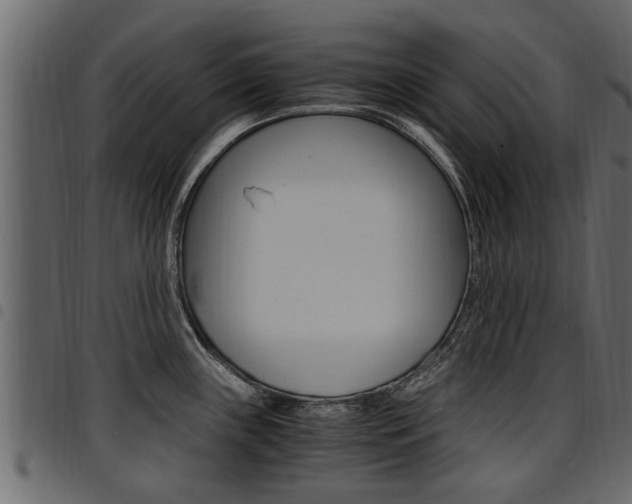 X0000094951243200711291058