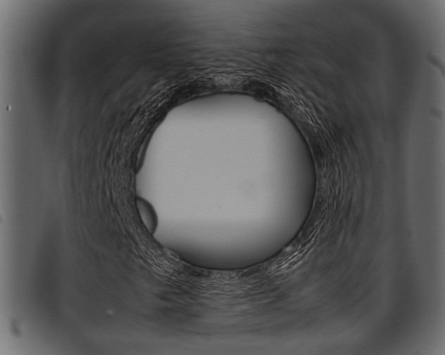 X0000094951249200711291057